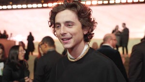 Timothée Chalamet Calls ‘Dune’ Sequel ‘A Dream Come True’